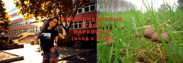 дурь Бугульма
